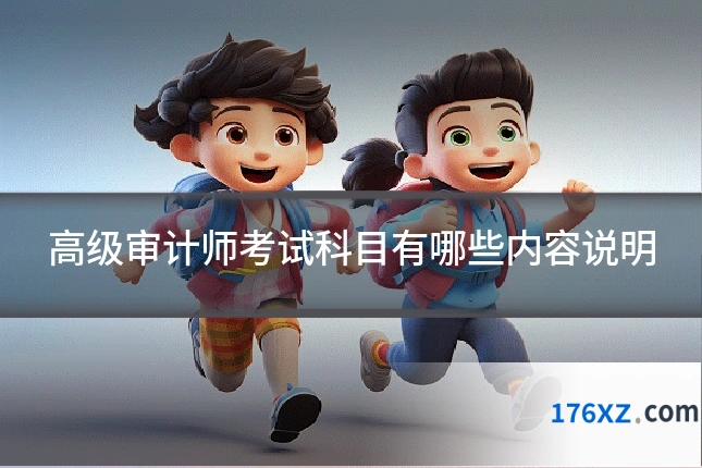 高级审计师考试科目有哪些内容说明