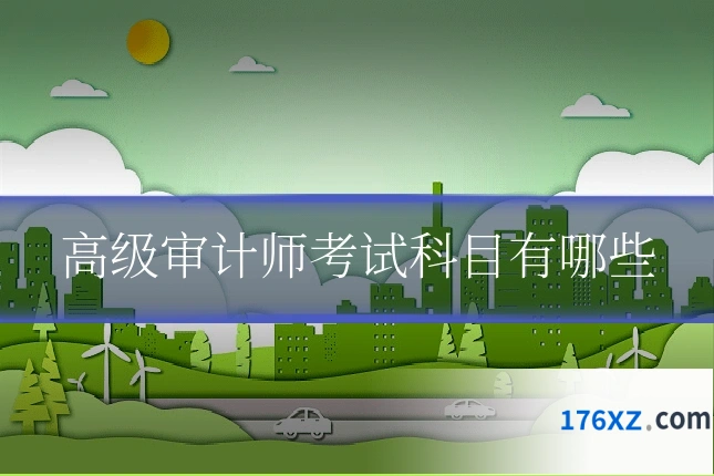 高级审计师考试科目有哪些