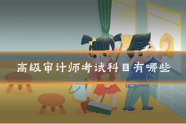 高级审计师考试科目有哪些