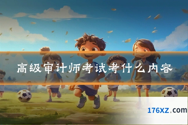 高级审计师考试考什么内容