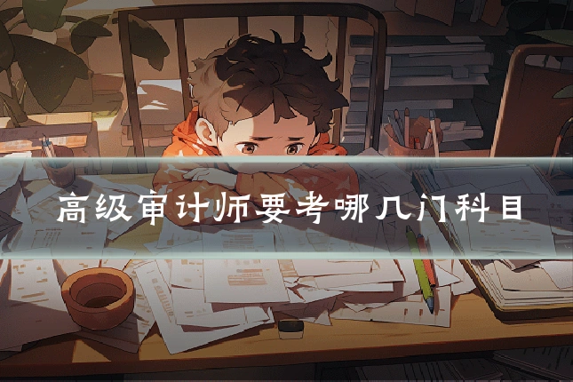 高级审计师要考哪几门科目