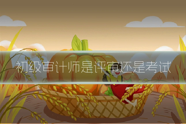 初级审计师是评审还是考试