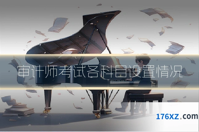 审计师考试各科目设置情况