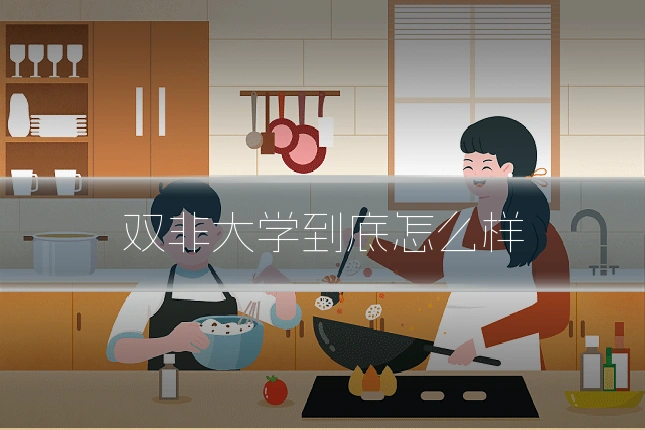 双非大学到底怎么样