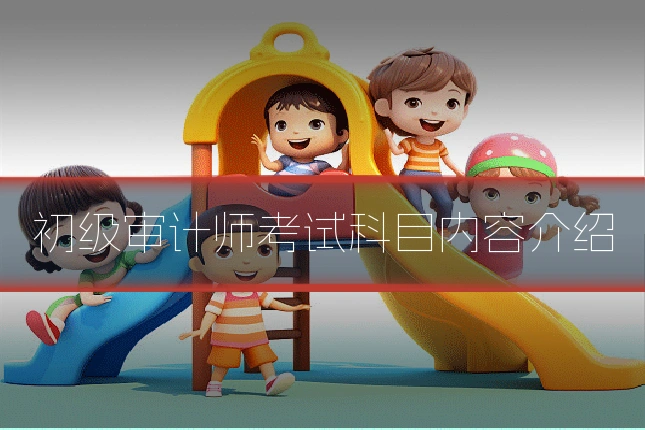 初级审计师考试科目内容介绍