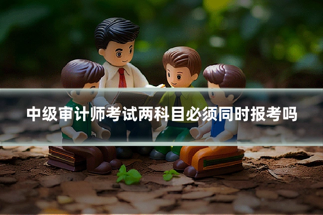 中级审计师考试两科目必须同时报考吗