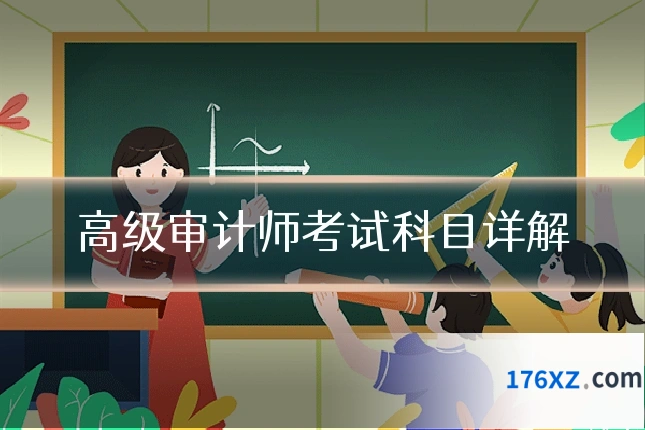 高级审计师考试科目详解
