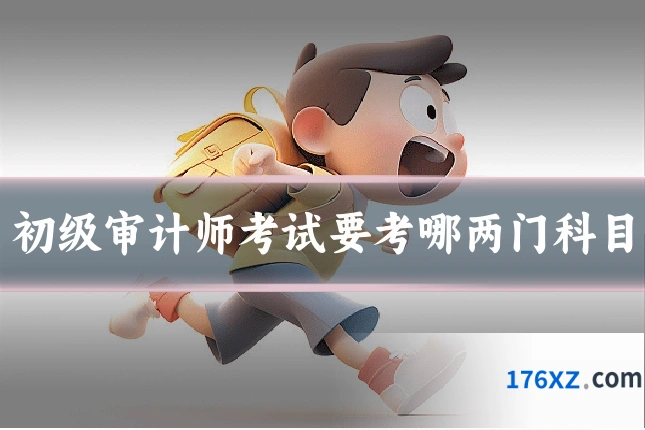 初级审计师考试要考哪两门科目