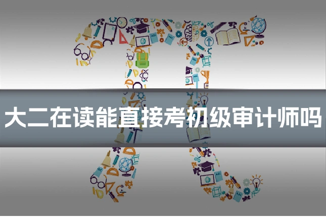 大二在读能直接考初级审计师吗