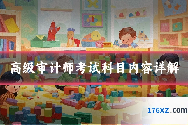 高级审计师考试科目内容详解
