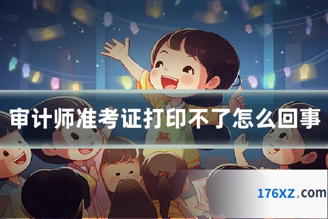 审计师准考证打印不了怎么回事