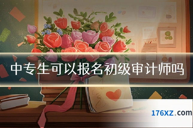 中专生可以报名初级审计师吗