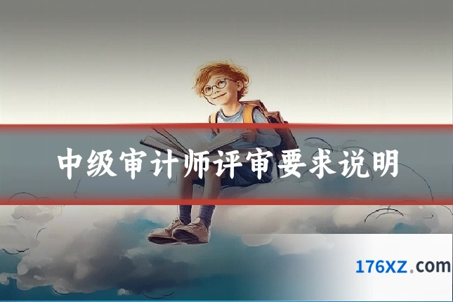 中级审计师评审要求说明