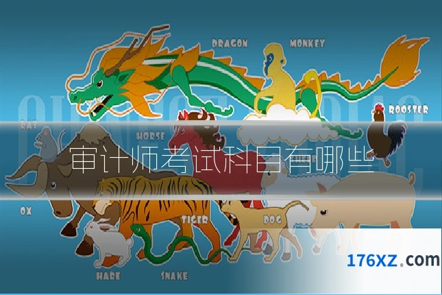 审计师考试科目有哪些