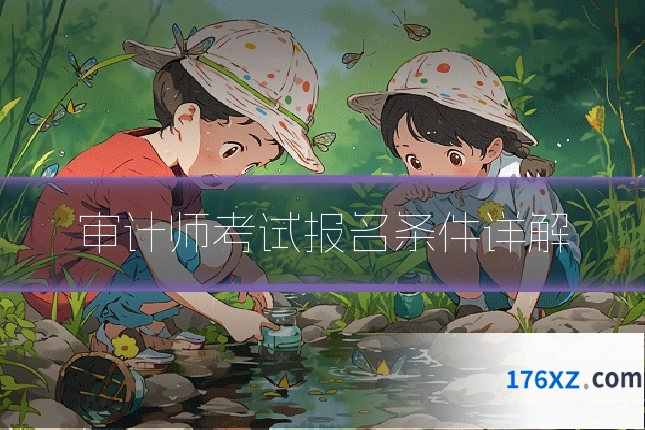 审计师考试报名条件详解