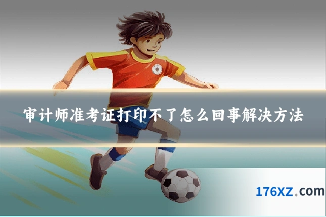 审计师准考证打印不了怎么回事解决方法
