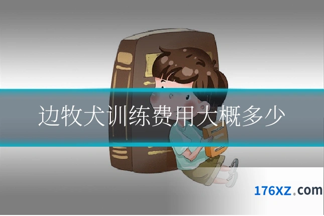 边牧犬训练费用大概多少