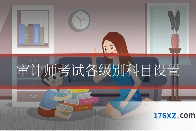 审计师考试各级别科目设置