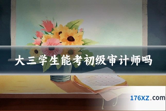 大三学生能考初级审计师吗