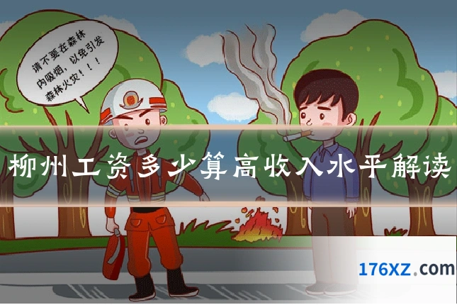 柳州工资多少算高收入水平解读