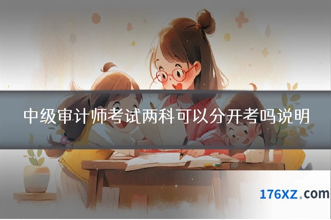 中级审计师考试两科可以分开考吗说明