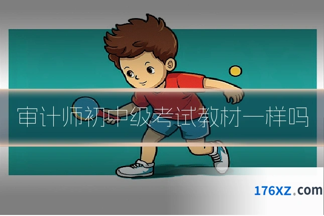 审计师初中级考试教材一样吗