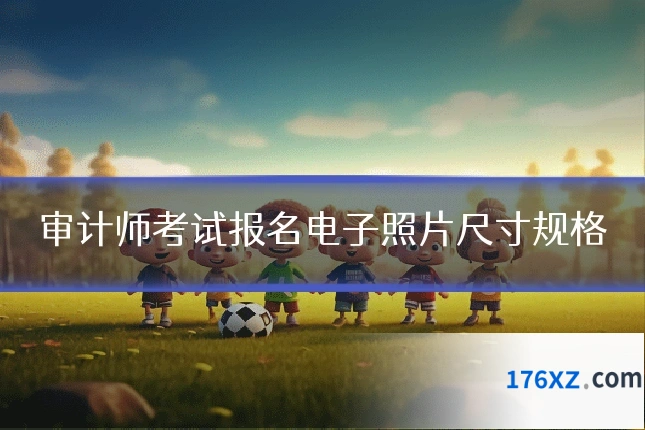 审计师考试报名电子照片尺寸规格