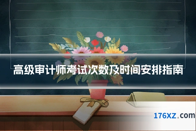 高级审计师考试次数及时间安排指南