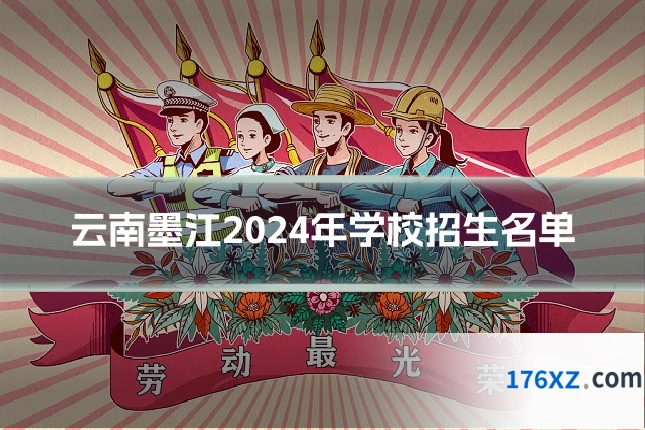 云南墨江2024年学校招生名单