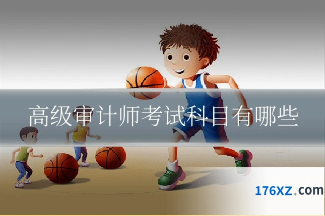 高级审计师考试科目有哪些