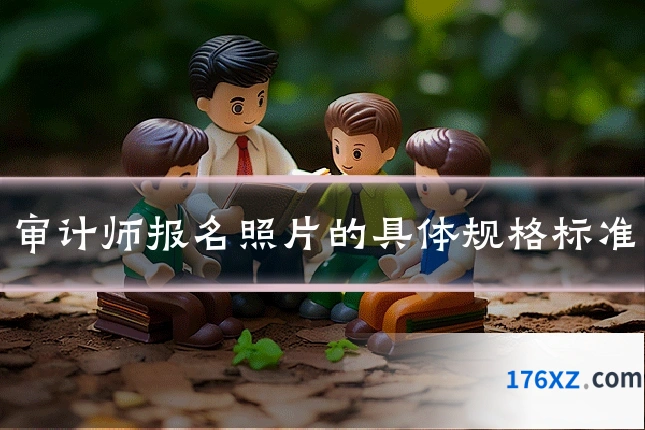 审计师报名照片的具体规格标准