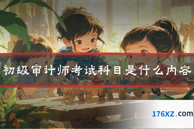 初级审计师考试科目是什么内容