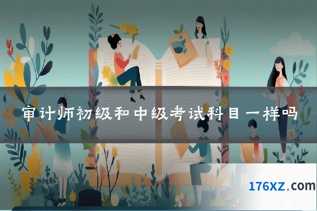 审计师初级和中级考试科目一样吗