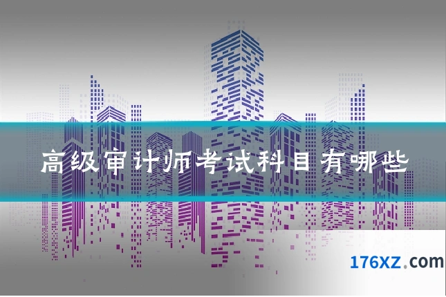 高级审计师考试科目有哪些