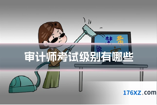 审计师考试级别有哪些