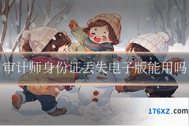 审计师身份证丢失电子版能用吗