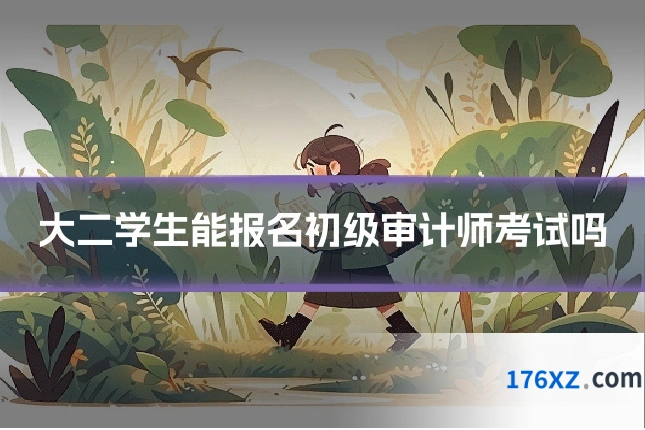 大二学生能报名初级审计师考试吗