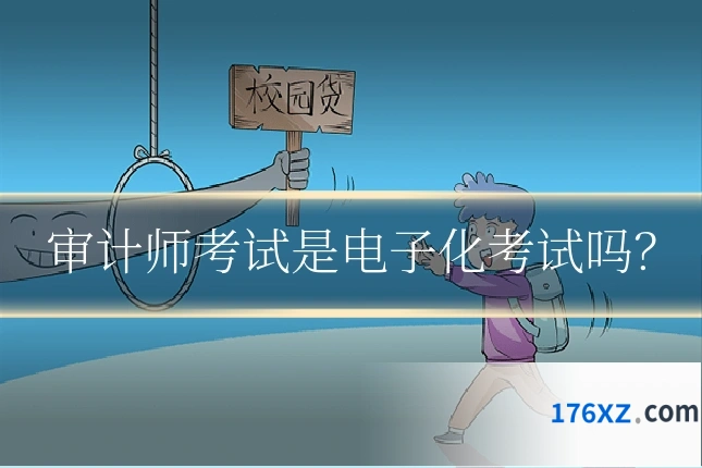 审计师考试是电子化考试吗?