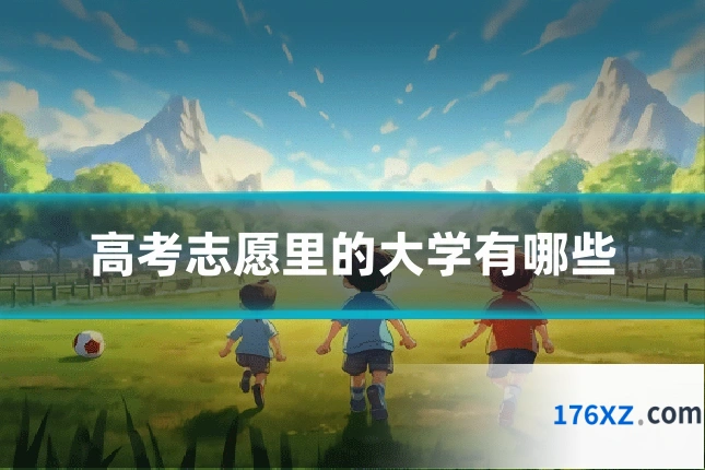 高考志愿里的大学有哪些