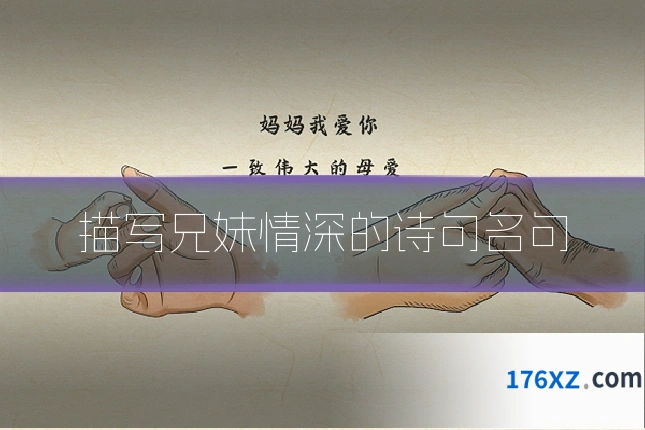 描写兄妹情深的诗句名句