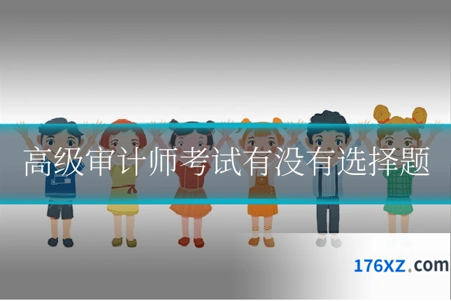 高级审计师考试有没有选择题