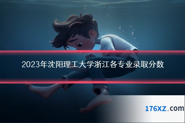 2023年沈阳理工大学浙江各专业录取分数