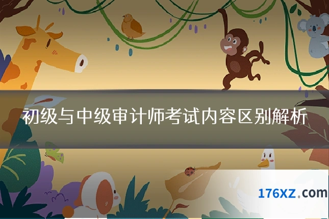 初级与中级审计师考试内容区别解析