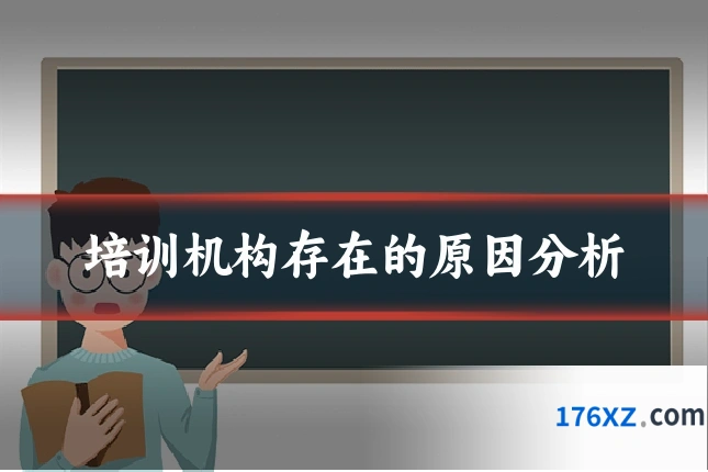 培训机构存在的原因分析