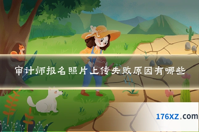 审计师报名照片上传失败原因有哪些