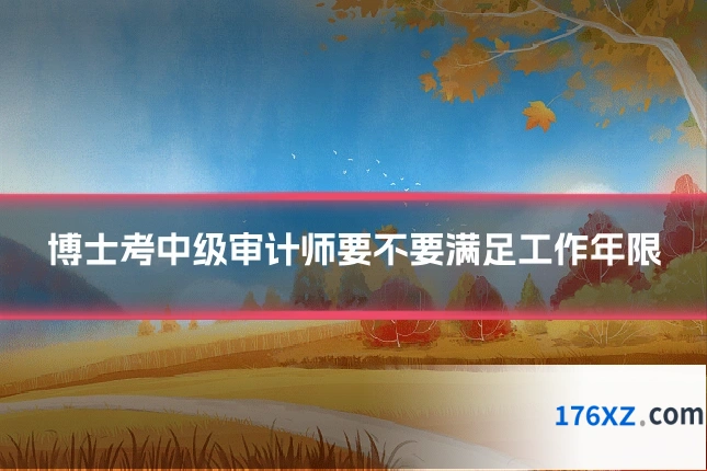 博士考中级审计师要不要满足工作年限