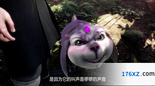斗罗大陆诺丁城宝箱位置玩法详解