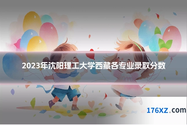 2023年沈阳理工大学西藏各专业录取分数