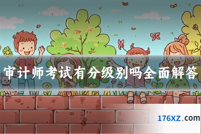 审计师考试有分级别吗全面解答