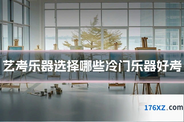 艺考乐器选择哪些冷门乐器好考